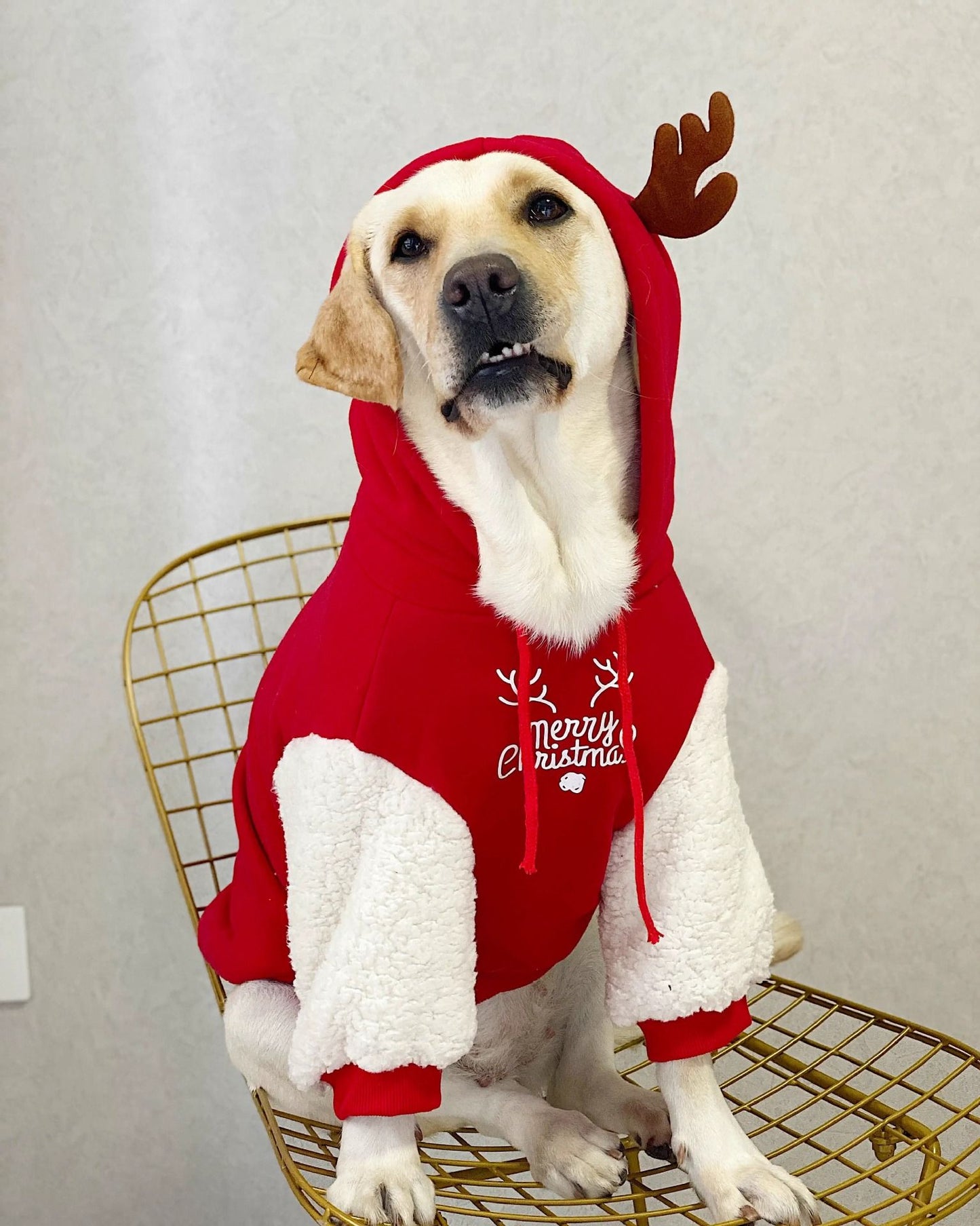 Roupa de Cachorro Pet Inverno Quente Algodão Fleece Moletom Filhote de Cervo Natal Cães Grandes Golden Retriever Labrador