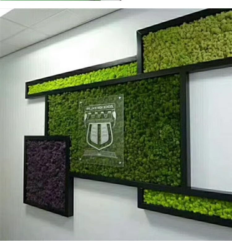 200/1000g Quality Artificial Green Plant Eternal Life Moss Fake Flower Moss Grass Home Living Decorative Wall DIY Micro Landscap