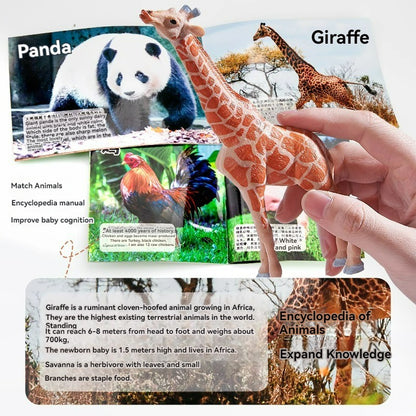 Brinquedo Montessori Dinossauro Fazenda Selvagem Oceano Gatos Animais Modelo Bonecos de Ação Miniaturas Fofas Jogo Educacional para Crianças Presente