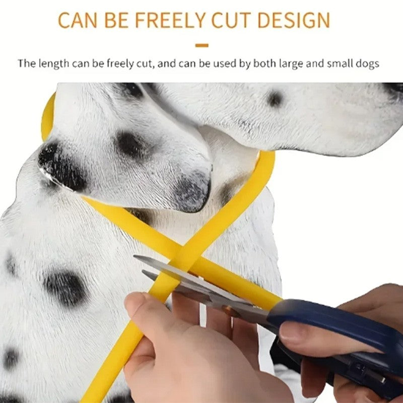Coleira LED para Cães para Segurança Noturna Coleira Brilhante Recarregável para Pets com 3 Modos Alta Visibilidade para Gatos e Cães em Passeios Noturnos