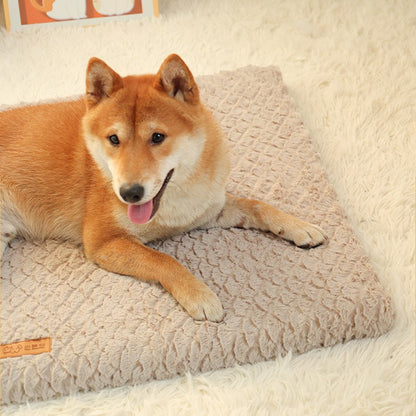 Cama para Animais de Estimação de Pelúcia Curta Removível e Lavável, Cama para Cães de Alta Elasticidade que Não Deforma, Adequada para Cães e Gatos de Pequeno e Médio Porte