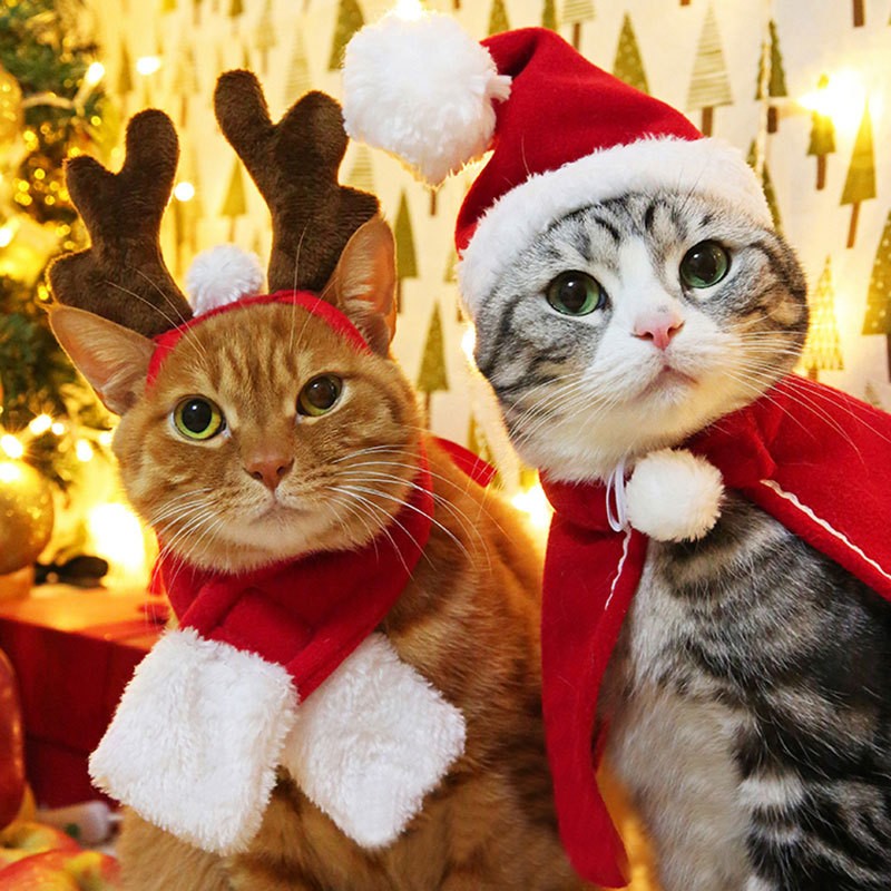 Capa de Inverno Fofa para Pets Cão Gato Roupas de Natal Quente Filhote de Papai Noel Cachecol Vermelho Chapéu Cabeça Engraçado Fantasia de Natal para Pets Cão Gato Capas
