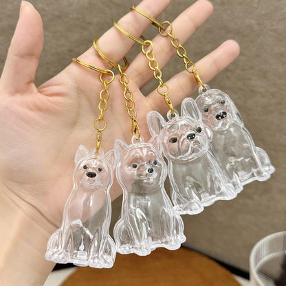Dog Hair Collection Pendant Hair Storage Box Charm Pet Cute Keychains Clear Plastic Pet Hair Capsule Souvenirs DIY Gifts