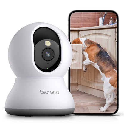 Blurams Indoor Security Camera 2K, Home Security Camera for Dog/Elder, Security Camera with One-Touch Call Update A31S-2pc