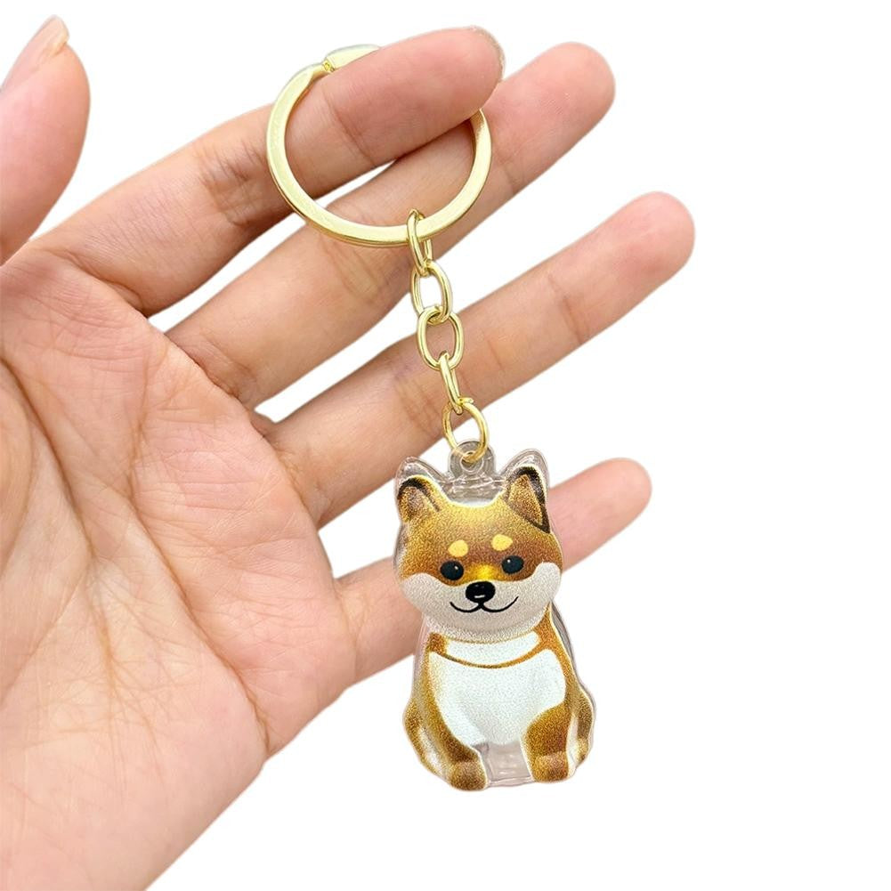 Dog Hair Collection Pendant Hair Storage Box Charm Pet Cute Keychains Clear Plastic Pet Hair Capsule Souvenirs DIY Gifts