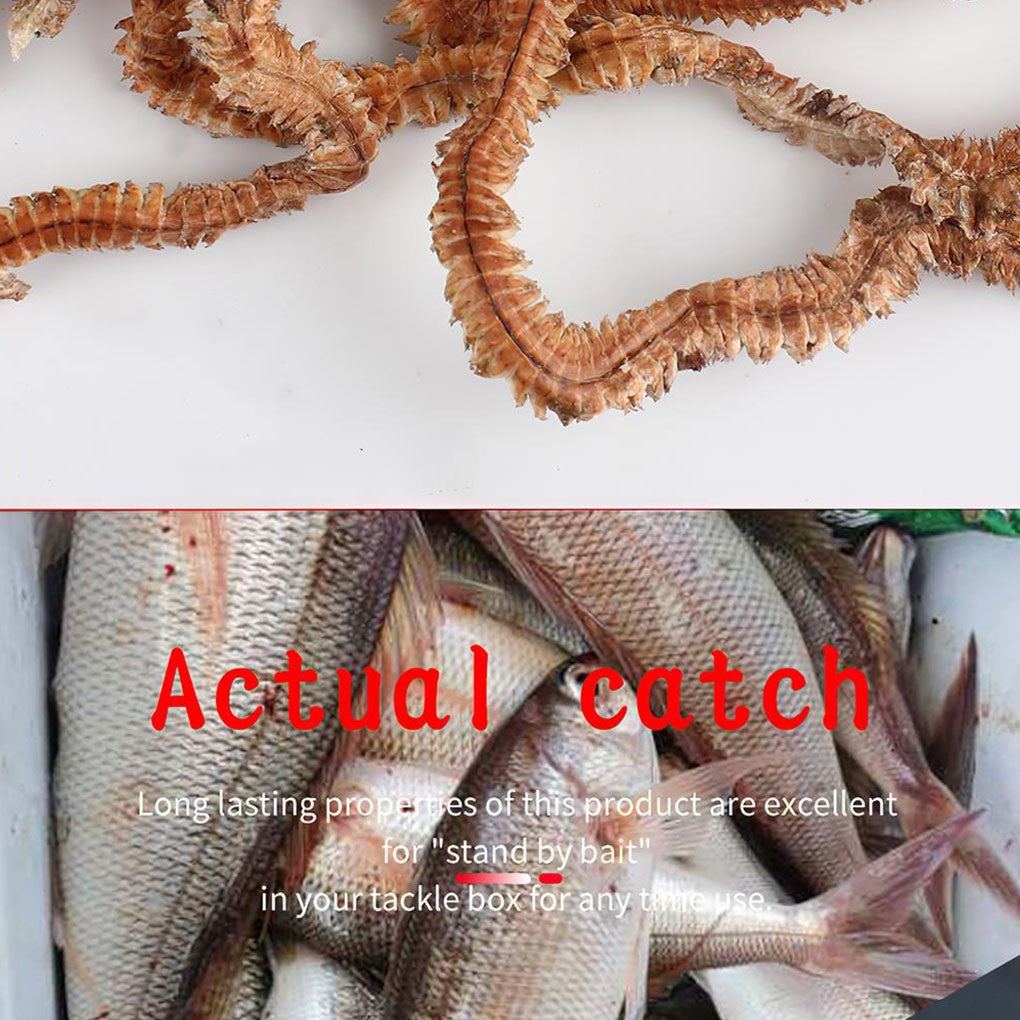 1 Saco De Lagartas Secas Isca De Pesca Ecológica Portátil Comida Sedutora Para Animais Aquáticos Uso Como Atração 10g