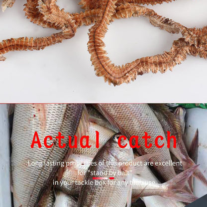 1 Saco De Lagartas Secas Isca De Pesca Ecológica Portátil Comida Sedutora Para Animais Aquáticos Uso Como Atração 10g