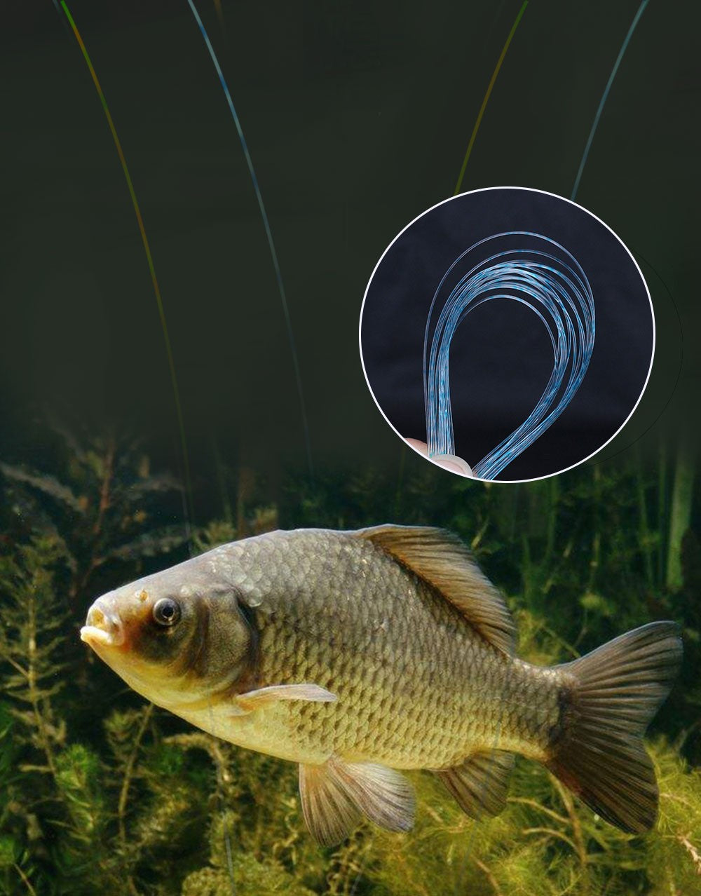 FTK 300/500m Invisible Fishing Line Speckle Fluorocarbon Coating Line 0.14mm-0.50mm 4.13LB-34.32LB Super Strong Spotted Line