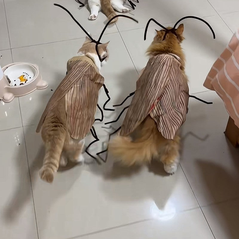 Decoração de Festa Engraçada, Roupa, Uniforme, Suprimentos para Animais de Estimação, Fantasia de Gato, Fantasia de Barata, Roupa Respirável para Animais de Estimação