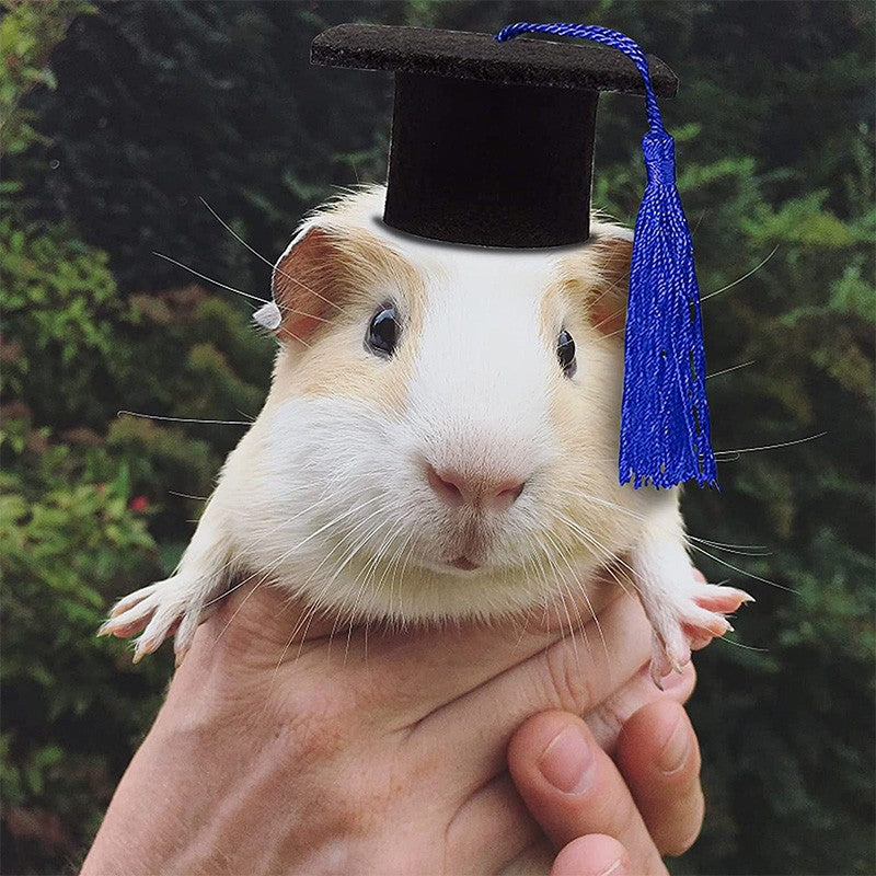 Chapéu de Formatura Pequeno Animal Mini Chapéu de Bacharel com Borla Boné de Estimação Fofo Gravata Borboleta para Gatinho Hamster Acessório de Fantasia para Fotos