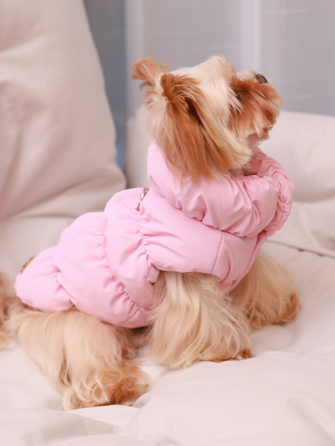 Jaqueta para Cães para Outono/Inverno, Casaco para Pets, Agasalho Quente e Grosso de 3 Camadas, Adequado para Cães Pequenos a Médios como Poodle, Teddy, York