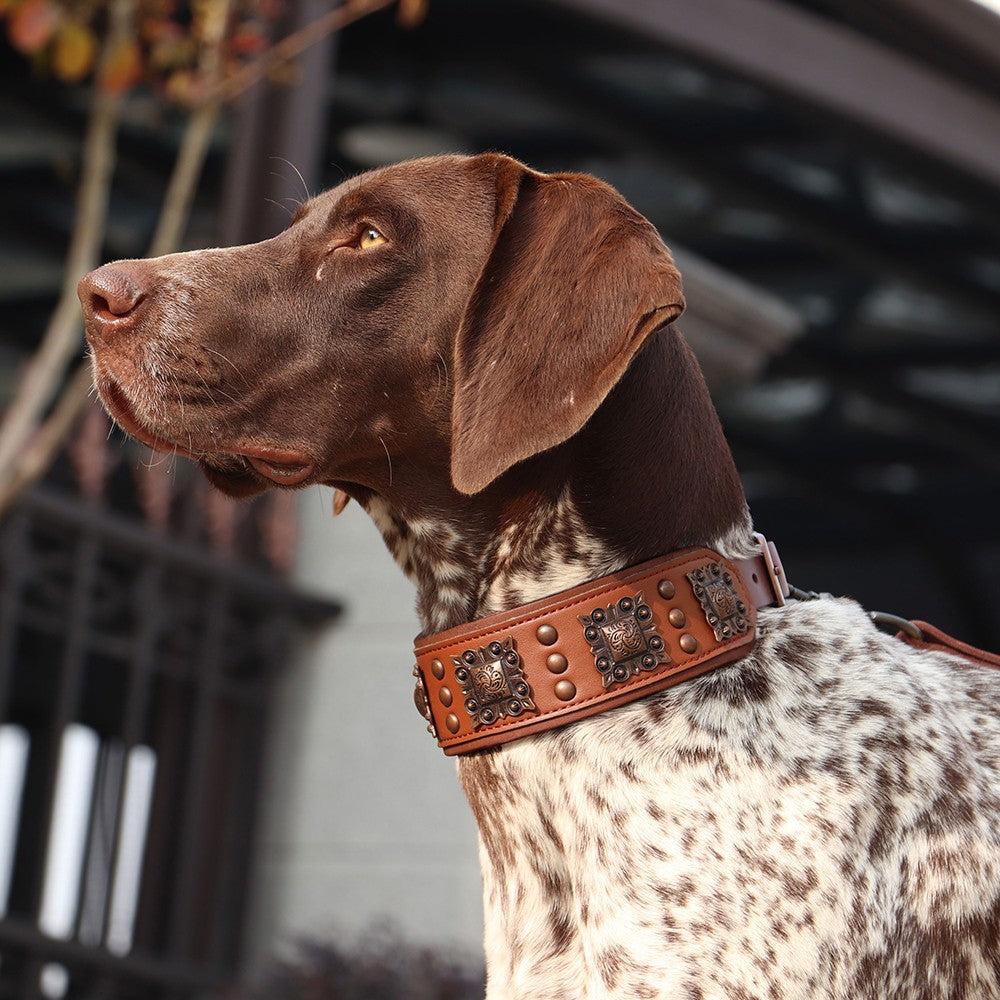 Coleira Legal Com Espinhos Para Cães De Porte Médio E Grande, Couro Genuíno, Pitbull, Bulldog, Acessórios Ajustáveis Para Animais De Estimação, Coleiras, Colar