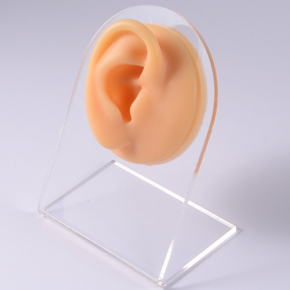 1PC Soft Silicone Simulation 1:1 Ear Nose Navel Nipple Model Practice Piercings Tools Jewelry Display Teaching Tool Accessories