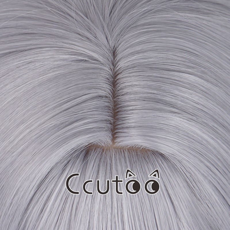 Frieren Wigs Anime Sousou no Frieren at the Funeral Silver gray Synthetic Hair Cosplay costume Wigs Chip Removable Ponytails