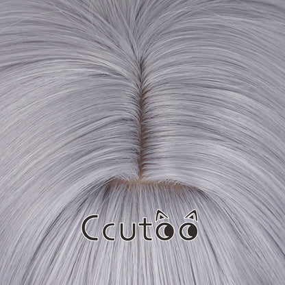 Frieren Wigs Anime Sousou no Frieren at the Funeral Silver gray Synthetic Hair Cosplay costume Wigs Chip Removable Ponytails