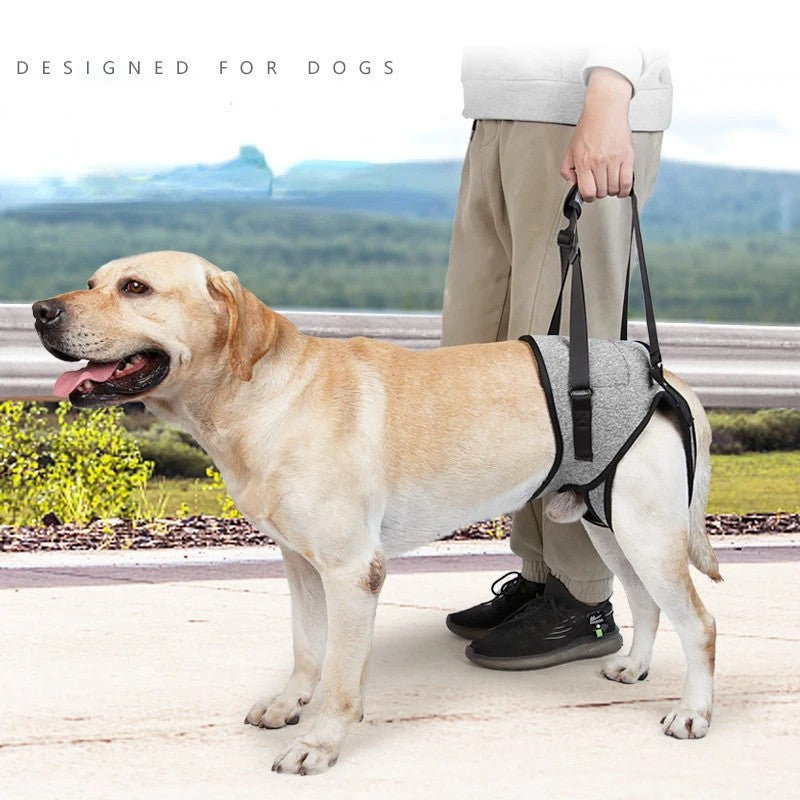Coleira de Suporte para Cães Ajustável para Cães Grandes com Acolchoamento Macio Suporte para Pernas Traseiras para Animais de Estimação Idosos com Deficiência Lesões Articulares Apoio para as Pernas Traseiras do Cão