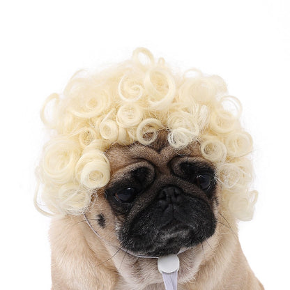 Peruca para Animais de Estimação, Peruca para Cachorro, Suprimentos para Animais de Estimação, Acessórios de Halloween para Animais de Estimação, Peruca de Cabelo Cacheado, Cabelo Liso, Peruca para Gato, Pode Ser Aparada (DIY)