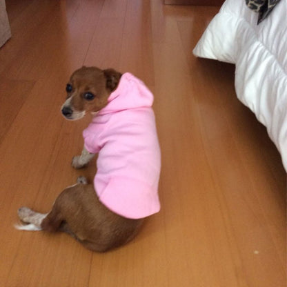 Moletons Sólidos para Cães Roupas para Pets Pequenos Casacos Jaquetas Moletom para Chihuahua Fantasia de Gato Roupinhas de Algodão para Pets
