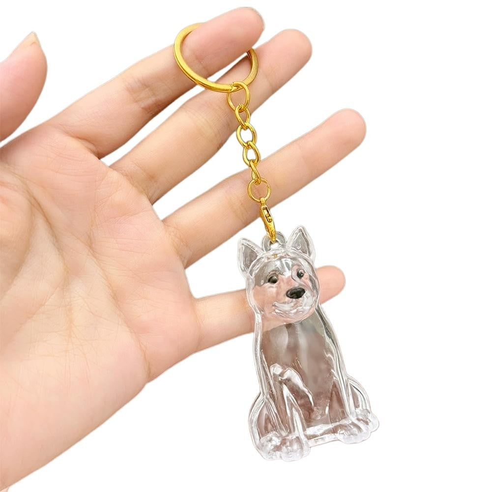 Dog Hair Collection Pendant Hair Storage Box Charm Pet Cute Keychains Clear Plastic Pet Hair Capsule Souvenirs DIY Gifts