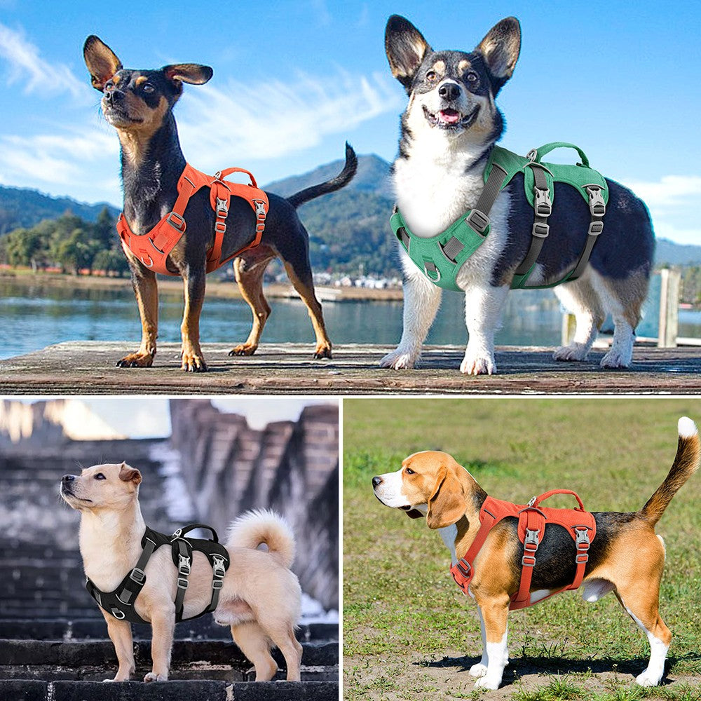 Coleira Peitoral de Nylon Anti-Fuga para Cães Colete Durável Reflexivo para Cães com Alça Ajustável para Cães Pequenos, Médios e Grandes, Pug