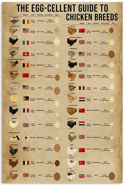Game Ammo Hunting Cartridges Poster Knowledge Wall Decor Print for New Hunter Metal Tin Sign (12x8Inch) - Retro Tin Sign for
