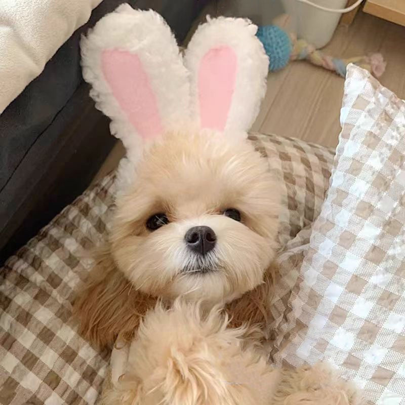 Urso Fofo Coelho Capuz Acessórios para Cães e Gatos de Estimação Cosplay Chapéu de Gato Inverno Lindo Ano Novo Gorro para Filhotes Veludo Macio Suprimentos para Animais de Estimação
