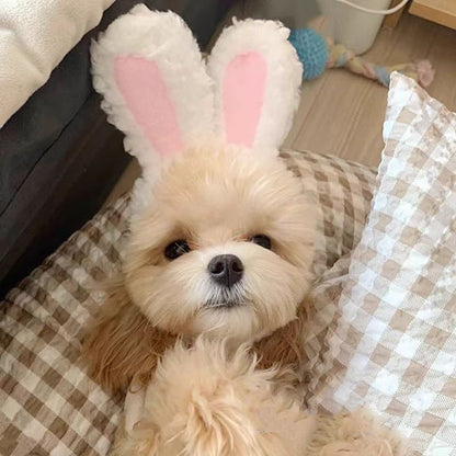 Urso Fofo Coelho Capuz Acessórios para Cães e Gatos de Estimação Cosplay Chapéu de Gato Inverno Lindo Ano Novo Gorro para Filhotes Veludo Macio Suprimentos para Animais de Estimação
