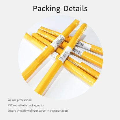 Singer Lana Del Rey Album Poster Poster Paper Print Home Living Room Bedroom Entrance Bar Cafe Art Painting Decoration