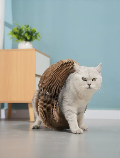 Brinquedo Dobrável Kitten Curl para Gatos Arranhador Mágico de Órgão Durável de Papelão Reciclável Cama para Gatos Arranhador Interativo