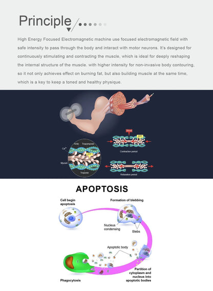 HIEMT EMSZERO RF High Intensity EVibration Pulse Electromagnetic Body Shaping Professional Muscle Growth And Fat Burning  Machin