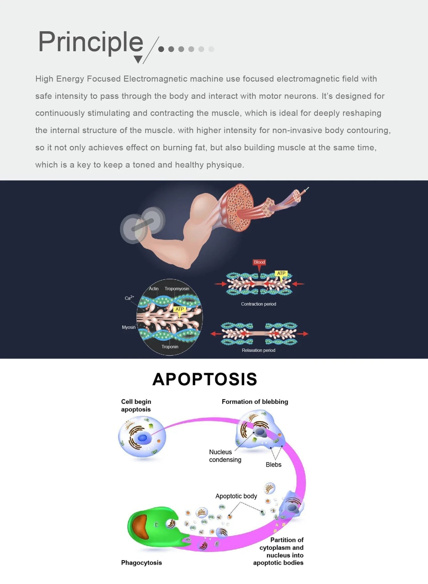HIEMT EMSZERO RF High Intensity EVibration Pulse Electromagnetic Body Shaping Professional Muscle Growth And Fat Burning  Machin