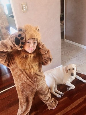 Boys Girls Wizard Lion King Costume Baby Kids Child Animal Birthday Party Halloween Cosplay Costumes Role Play Jumpsuit