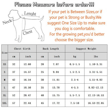 Moletom de Luxo com Capuz para Cães, Roupas Quentes de Inverno para Cães, Moletom Fofo e Macio para Filhotes, Estampa de Urso, Moletons para Gatos, Suéteres para Animais de Estimação, Roupas para Bichon