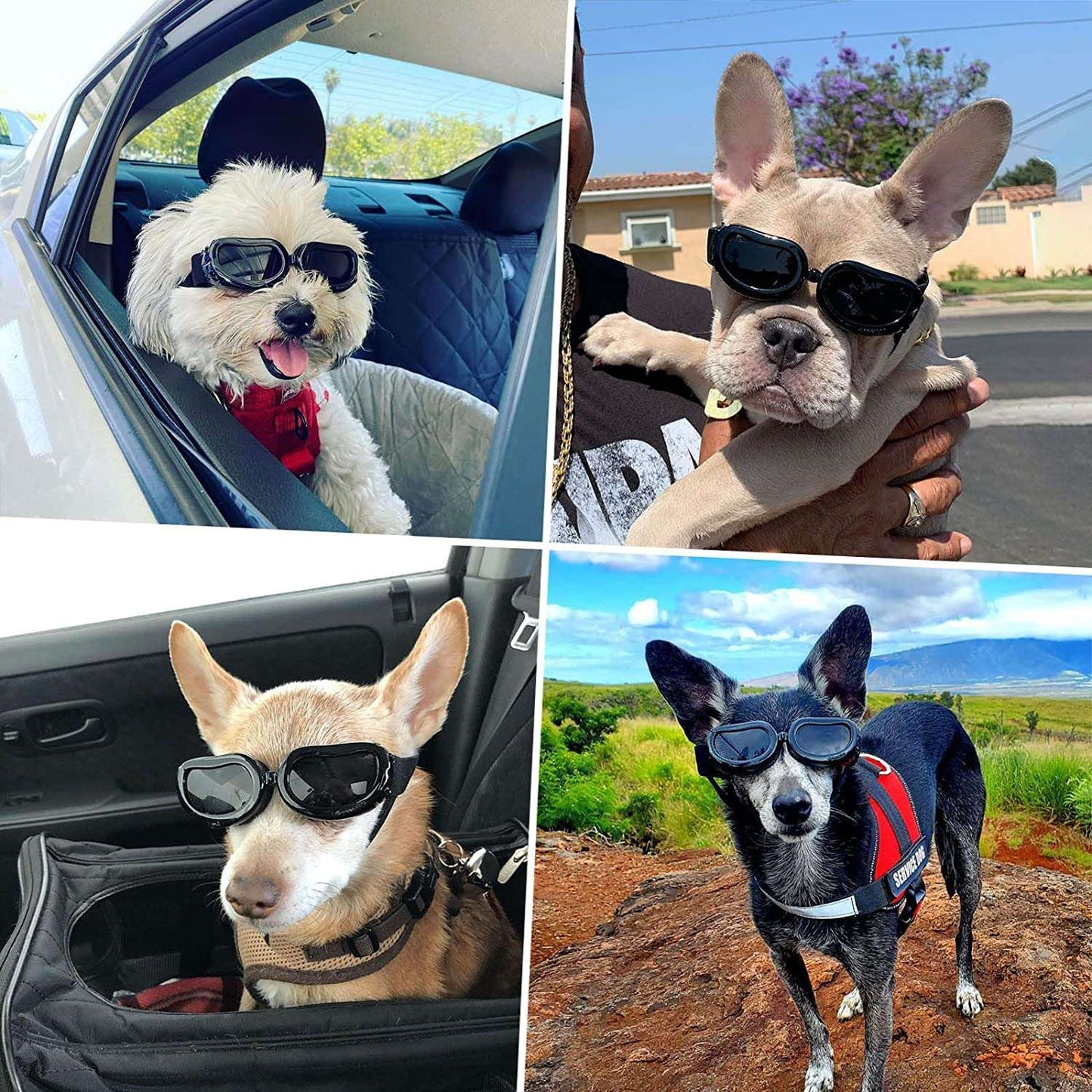 ATUBAN Capacete e Óculos de Sol para Cães Pequenos, Óculos de Proteção UV para Cães Médios, para Cães Dirigirem ao Ar Livre e Passearem
