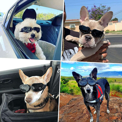 ATUBAN Capacete e Óculos de Sol para Cães Pequenos, Óculos de Proteção UV para Cães Médios, para Cães Dirigirem ao Ar Livre e Passearem