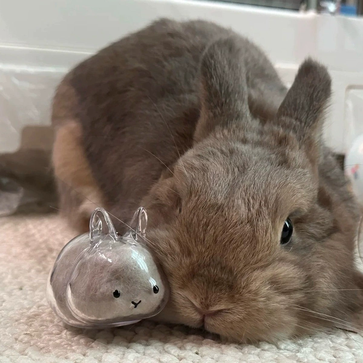 Transparent Rabbit Hair Keepsake Bottle Pet Hair Storage Capsule Keychain Thoughtful Gift for Rabbit Lovers And Owners