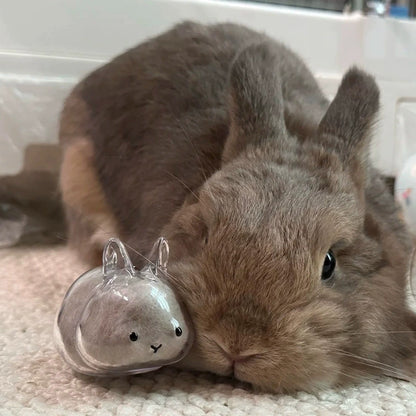 Transparent Rabbit Hair Keepsake Bottle Pet Hair Storage Capsule Keychain Thoughtful Gift for Rabbit Lovers And Owners