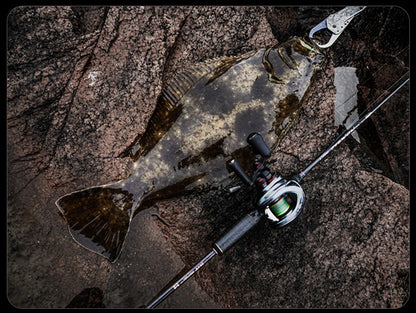 PURELURE NDMBLS Toray M46X 0.5-12g Isca Macia Ação EXF Armação FUJI de Titânio e Anel SIC Ponta Sólida de Carbono Perca Black Bass Lúcio Lúcio-Perca