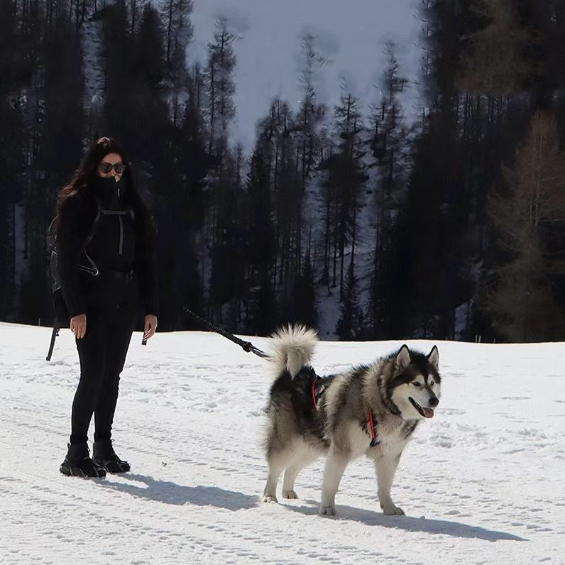 Coleira de Peito para Cães, Arnês para Treinamento de Peso, Cinta de Tração, Huskies, Samoieda, Trenó, Neve, Corda de Tração para Snowboard