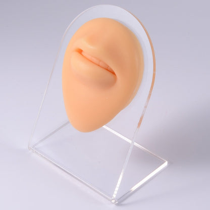 1PC Soft Silicone Simulation 1:1 Ear Nose Navel Nipple Model Practice Piercings Tools Jewelry Display Teaching Tool Accessories