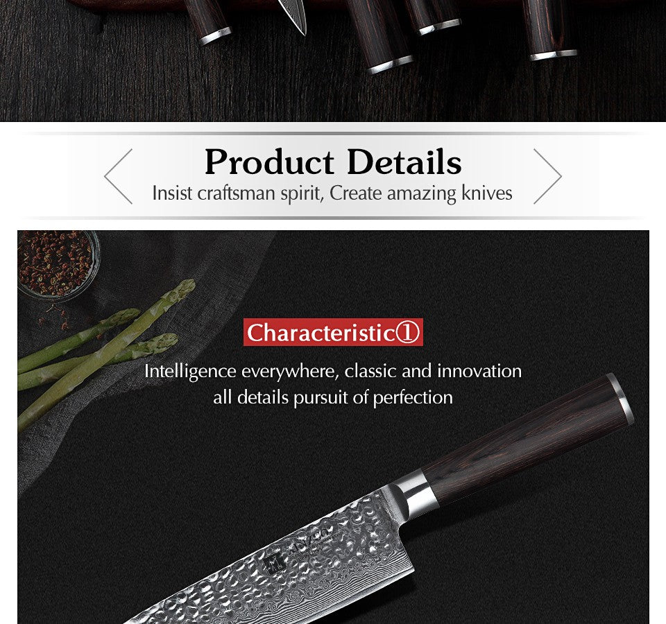 XINZUO 1-5 PCS Kitchen Knives Set VG10 Damascus Stainless Steel Sharp Chef Santoku Nakiri Slicing Paring Knife Pakkawood Handle