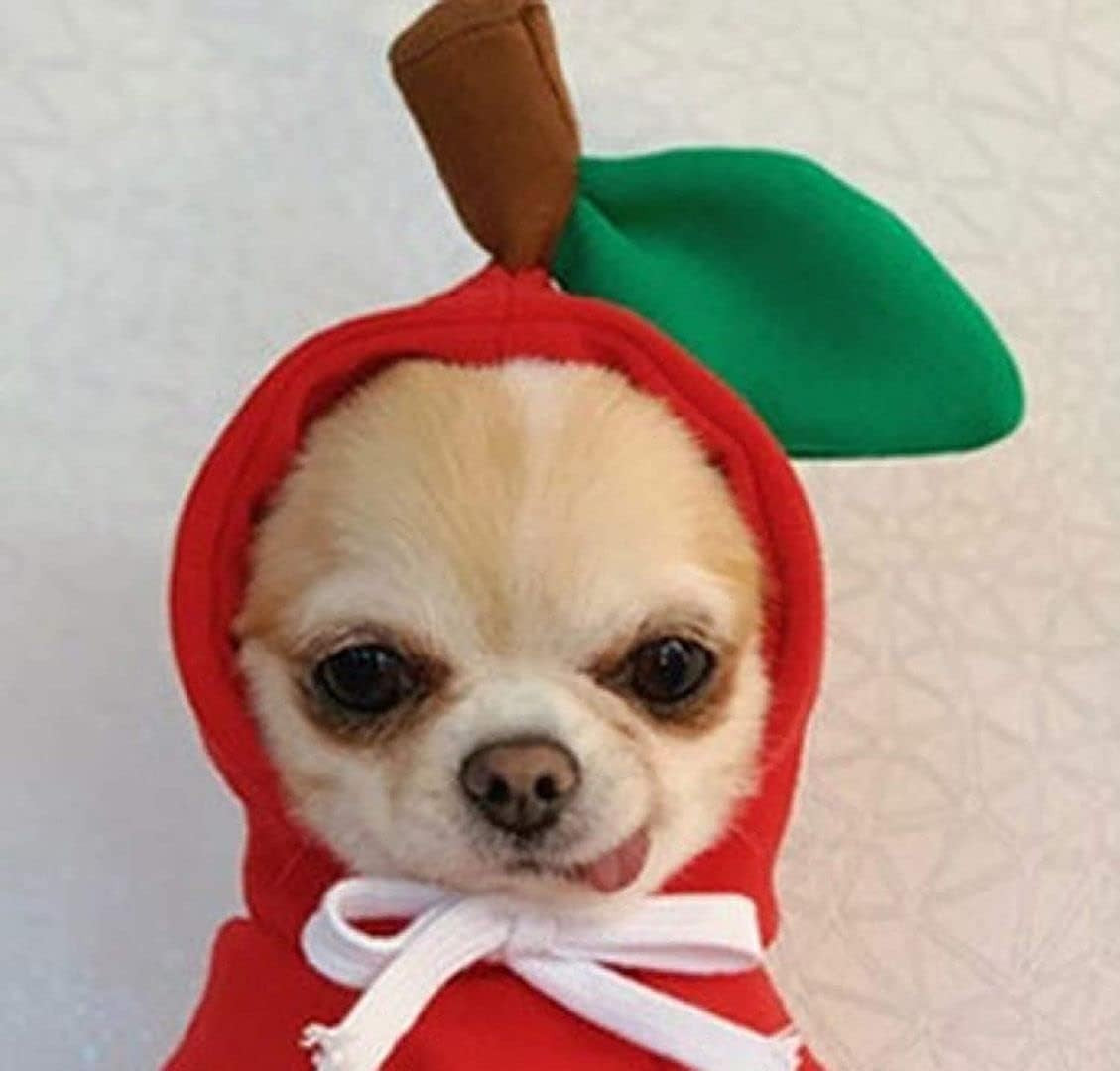 Moletom Fofo com Capuz para Cachorro Roupa Divertida de Frutas para Pets Capa Engraçada para Cães e Gatos com Chapéu Fantasia de Halloween para Cães e Gatos Moletom com Capuz para Filhotes e Gatos
