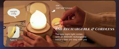 Mini Desktop LED Cute Night Lamp Creative USB Rechargeable Portable Cartoon Table Lamp For Coffee Bar Home Decor Hotel Bedroom