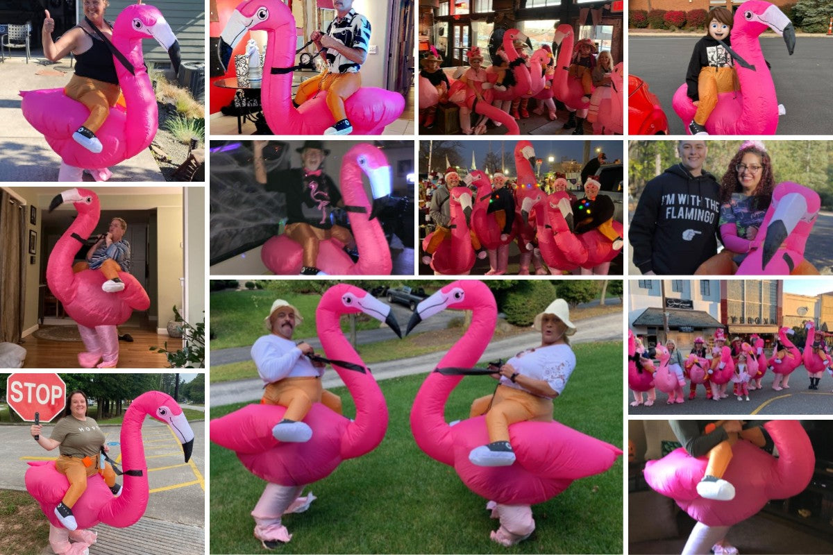 Flamingo Adult Inflatable Suit, Funny Party Costume, Halloween/Christmas/Themed Cosplay, Suitable for Heights of 150-190cm