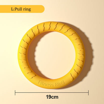 Brinquedos Duráveis de EVA para Cães 4 Peças Disco Voador + Bola + Corda para Puxar para Filhotes e Cães Adultos Conjunto Anti-Mordida para Limpeza dos Dentes?2024 Mais Vendido?