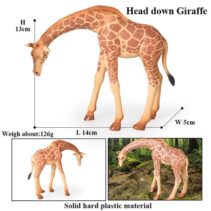 Oenux Zoo África Animais Selvagens Girafa Simulação Modelo Bonecos de Ação PVC Brinquedo Educacional Fofo para Crianças