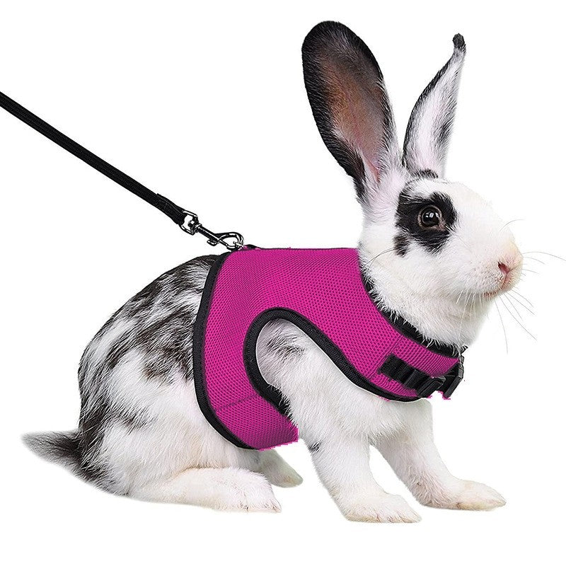 Conjunto de coleira e colete para coelhos, colete respirável para coelhos, furões, porquinhos-da-índia, esquilos, coleira macia e ajustável para animais de estimação pequenos