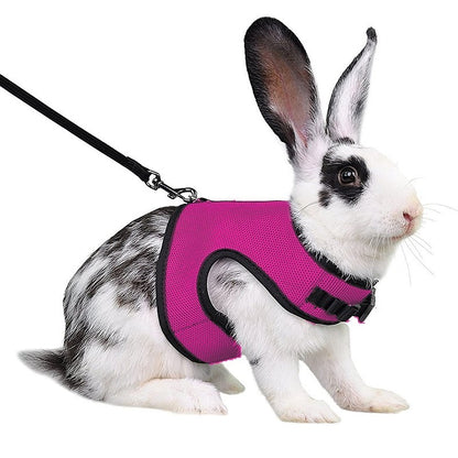 Conjunto de coleira e colete para coelhos, colete respirável para coelhos, furões, porquinhos-da-índia, esquilos, coleira macia e ajustável para animais de estimação pequenos
