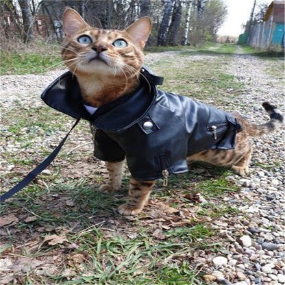 Casaco de Cachorro Padrão Águia Gloriosa Jaqueta de Couro PU Macio Impermeável para Exterior Roupas da Moda para Cães Pequenos (XXS-XXL)