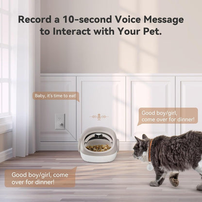 Comedouro RFID para Gatos Aprimorado com Sensor de Coleira – 4 Modos de Alimentação, Comedouro Antifurto para Vários Gatos, Coleira Temporizada